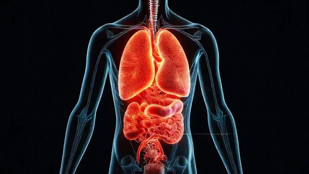 Fatos incríveis sobre o corpo humano que você não conhecia